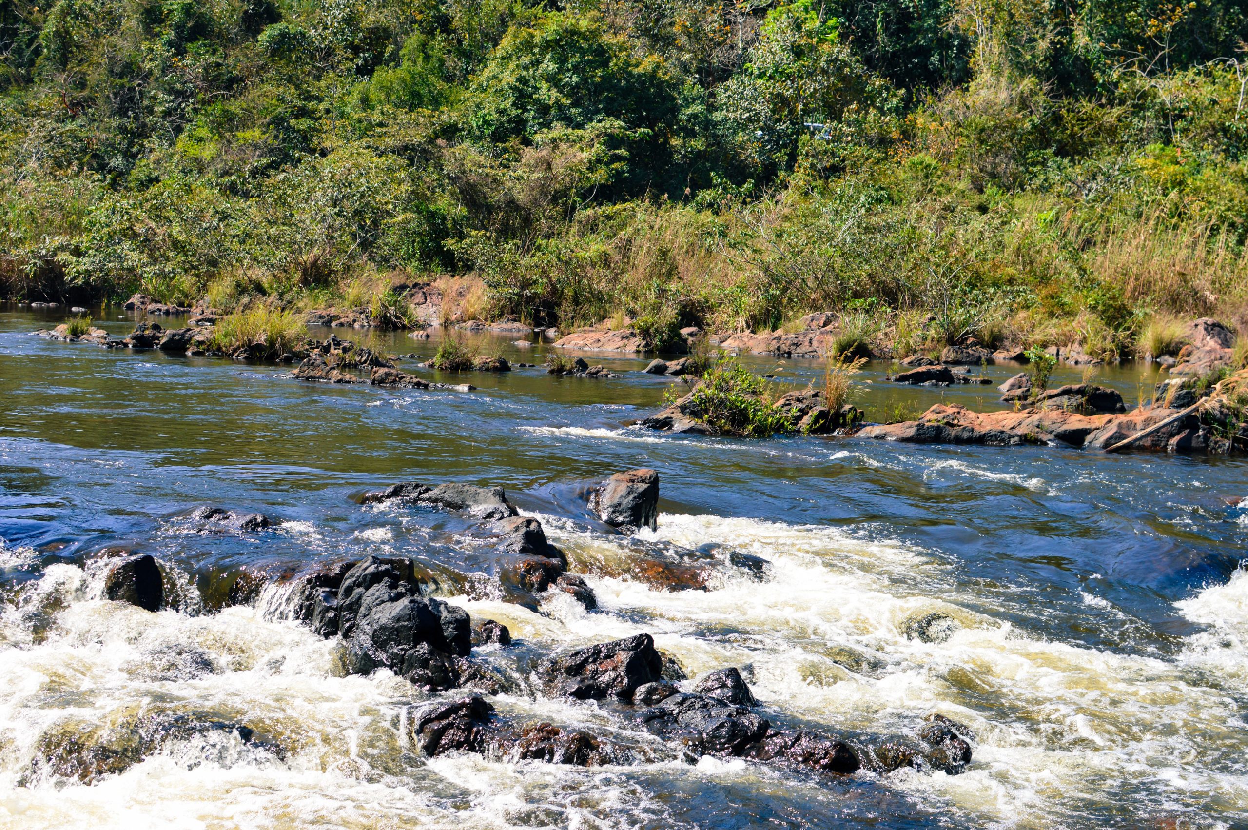 A Guide to the Research Station in Belize’s Tropical Jungle