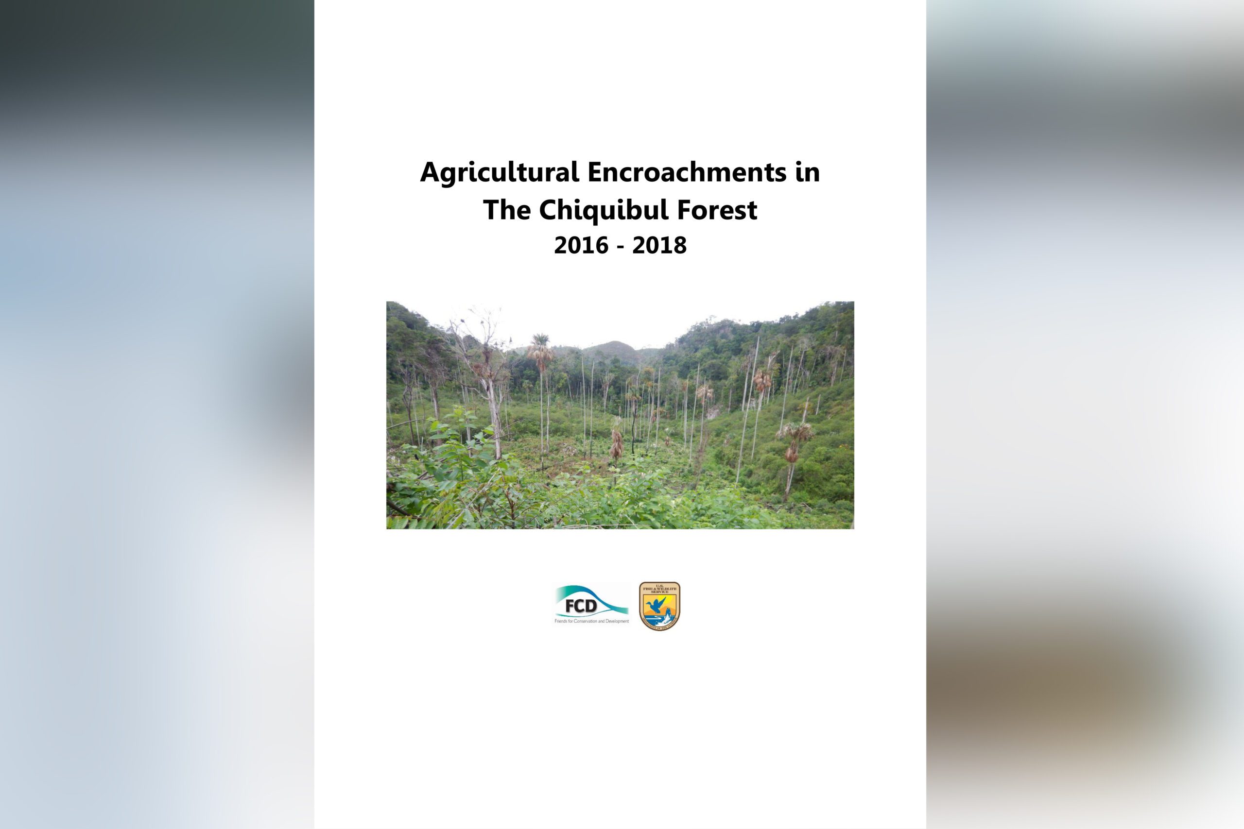 Agricultural Encroachments in The Chiquibul Forest 2016 – 2018
