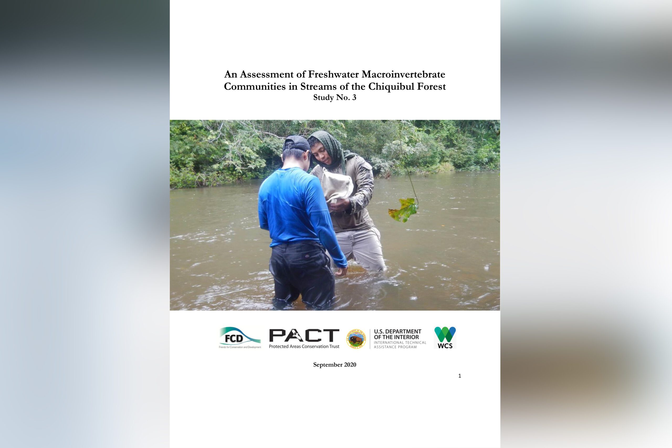 An Assessment of Freshwater Macroinvertebrate Communities in Streams of the Chiquibul ForestStudy No. 3