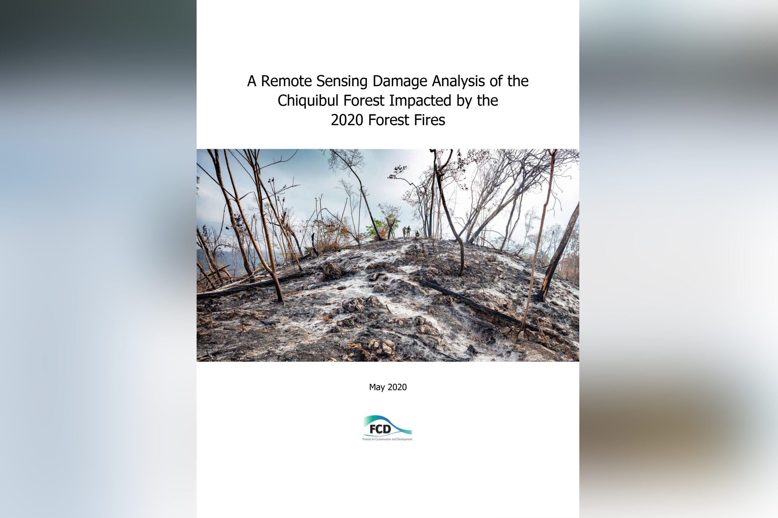 A Remote Sensing Damage Analysis of the Chiquibul Forest Impacted by the 2020 Forest Fires