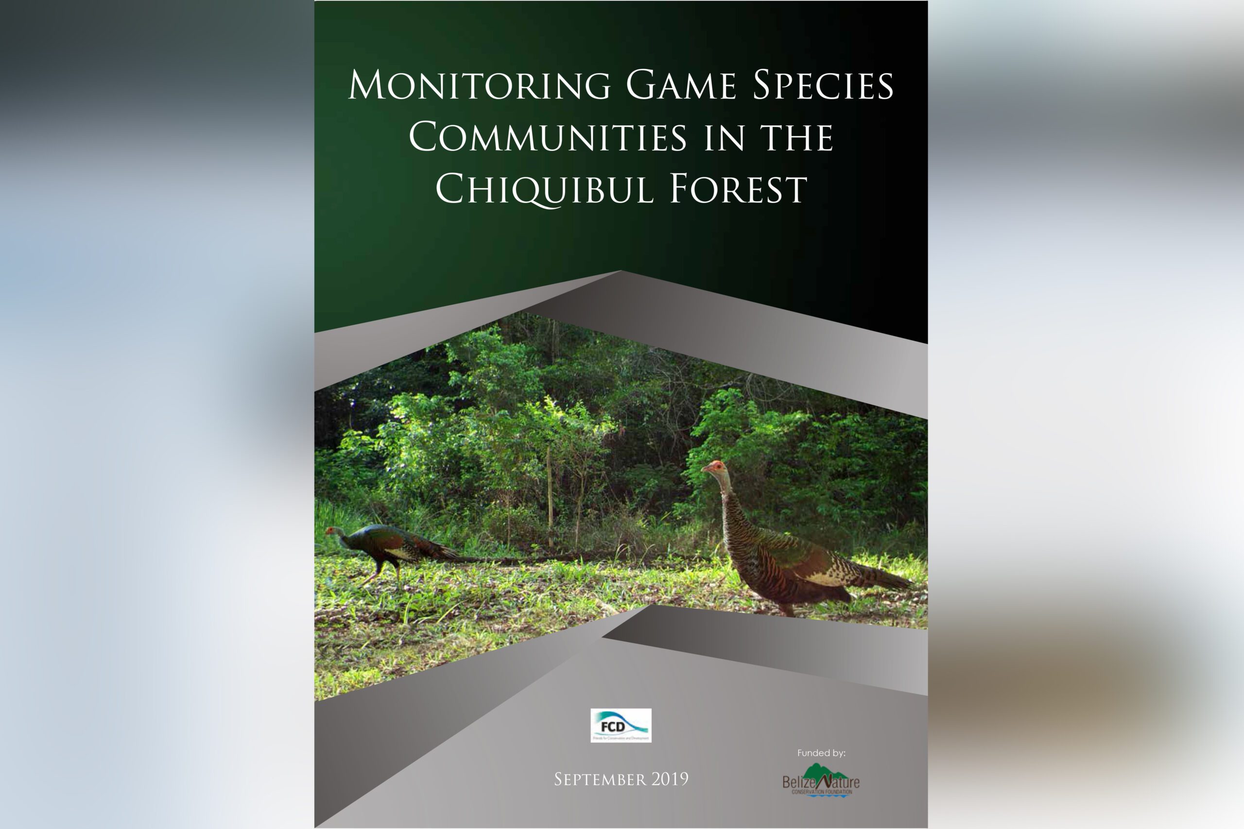 Monitoring Game SpeciesCommunities in theChiquibul Forest