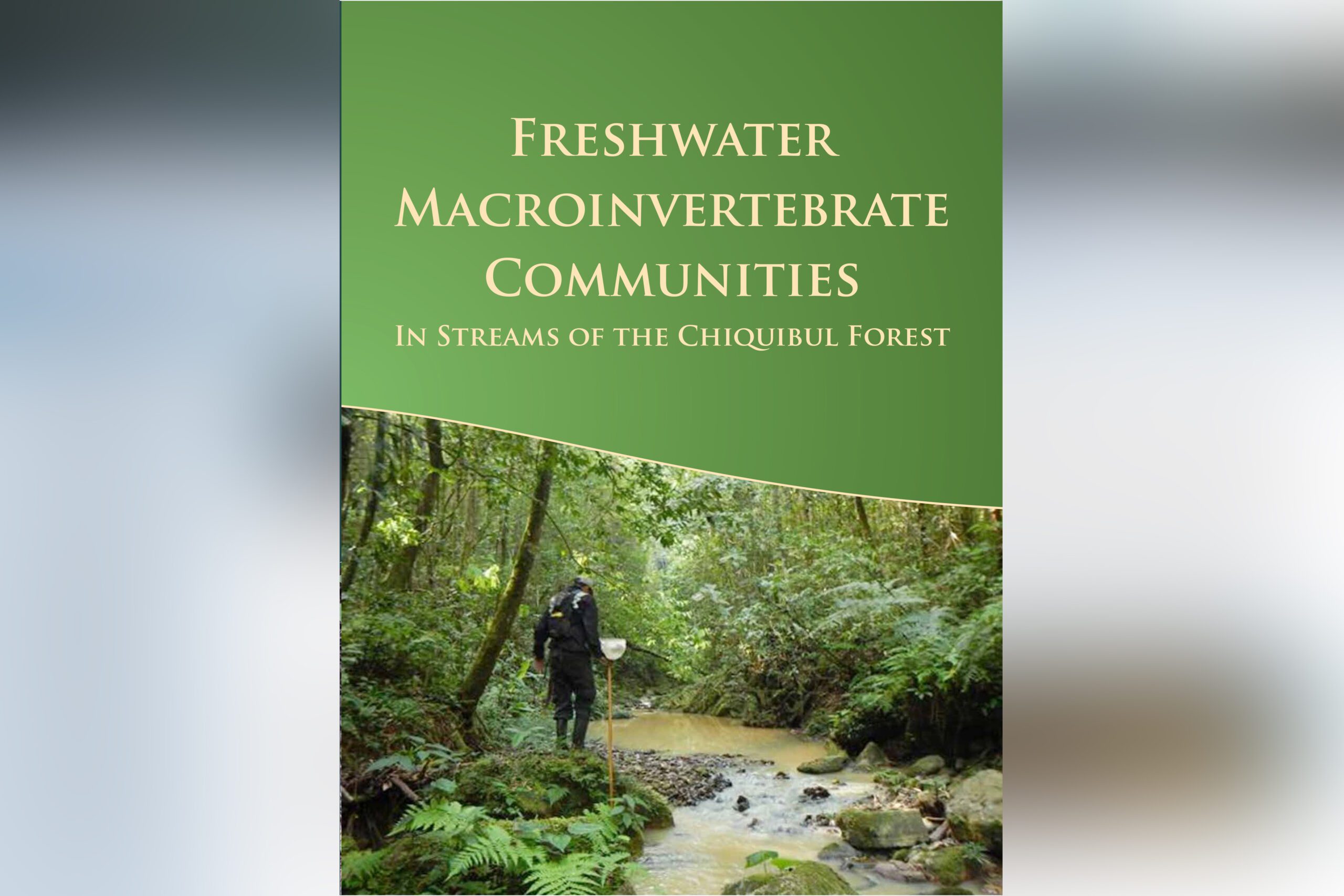 Freshwater Macroinvertebrate Communities