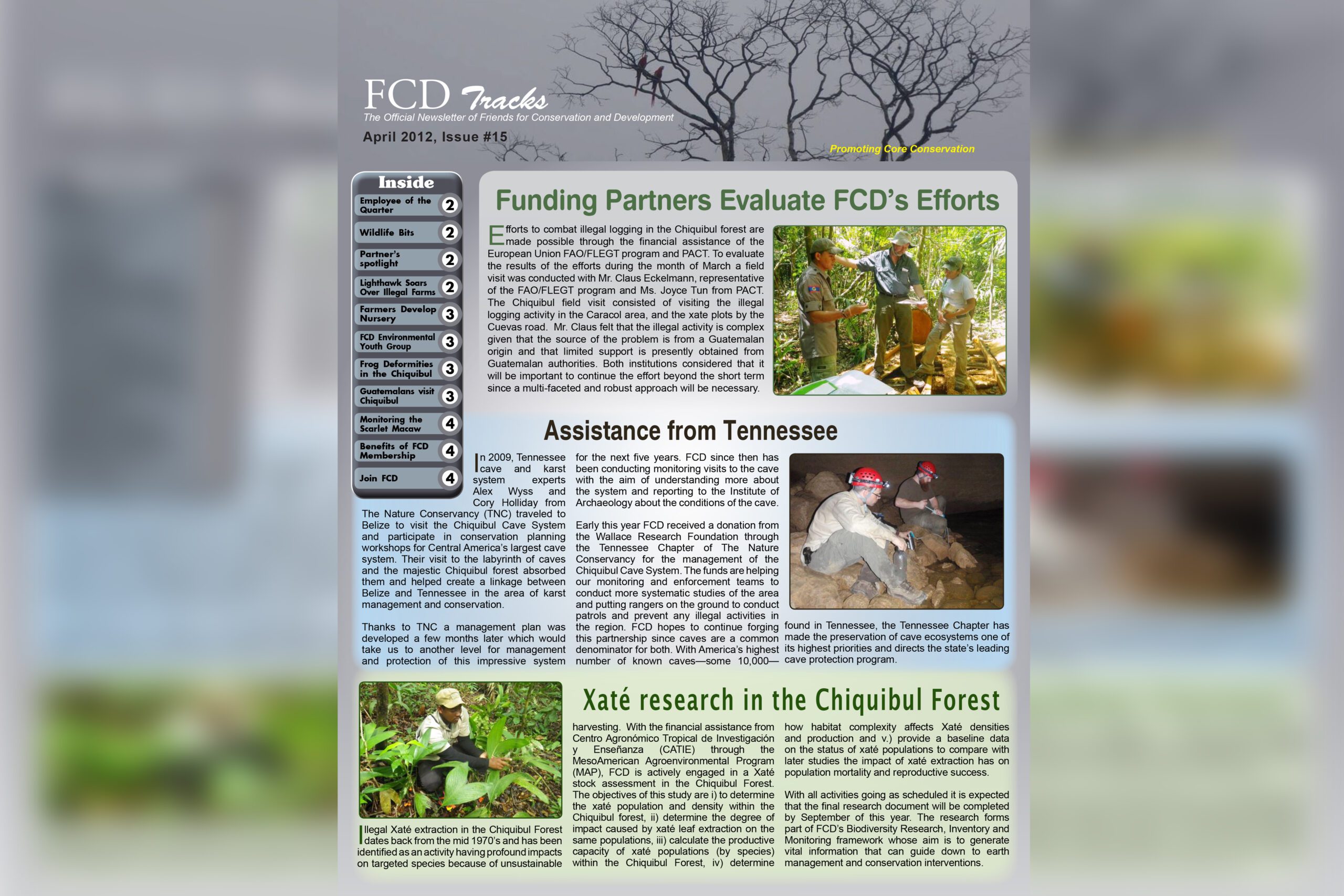 FCD Newsletter Issue #15