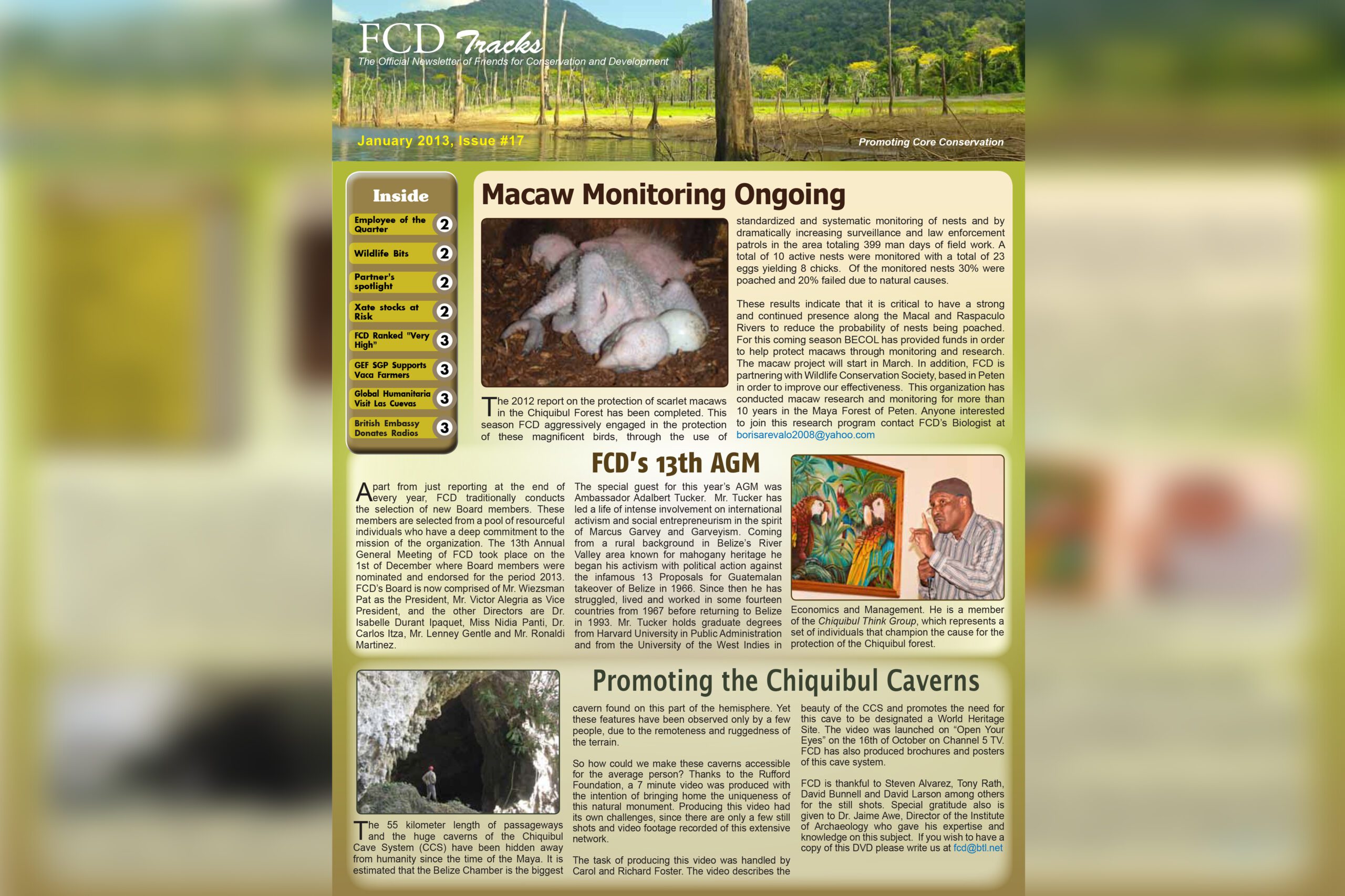 FCD Newsletter Issue #17