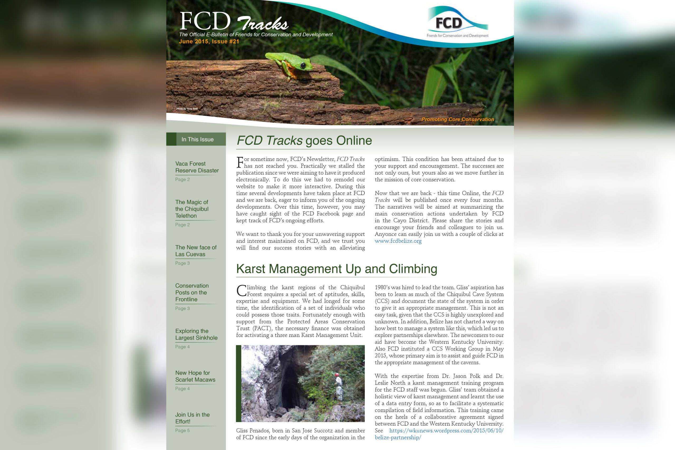 FCD Newsletter Issue #21