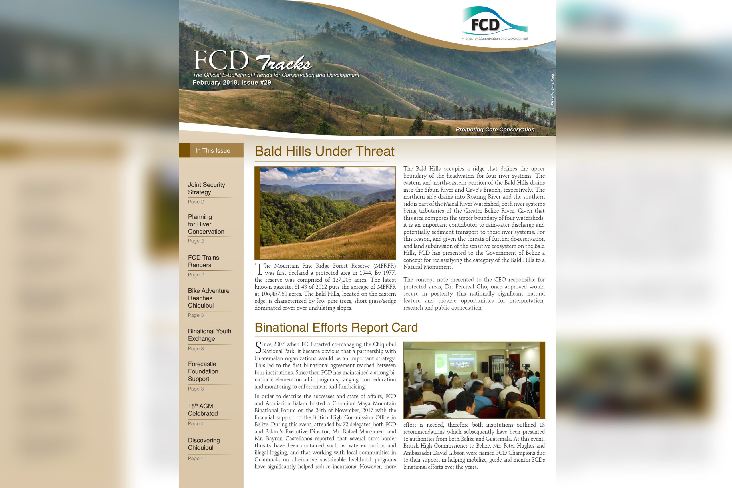 FCD Newsletter Issue #29