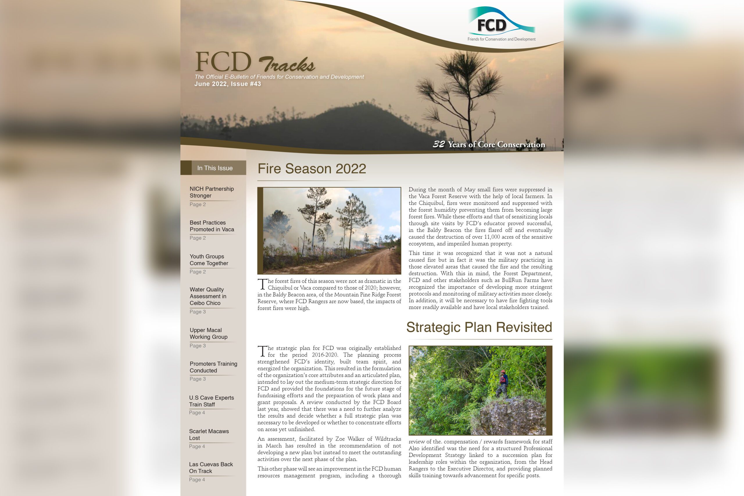 FCD Newsletter Issue #43