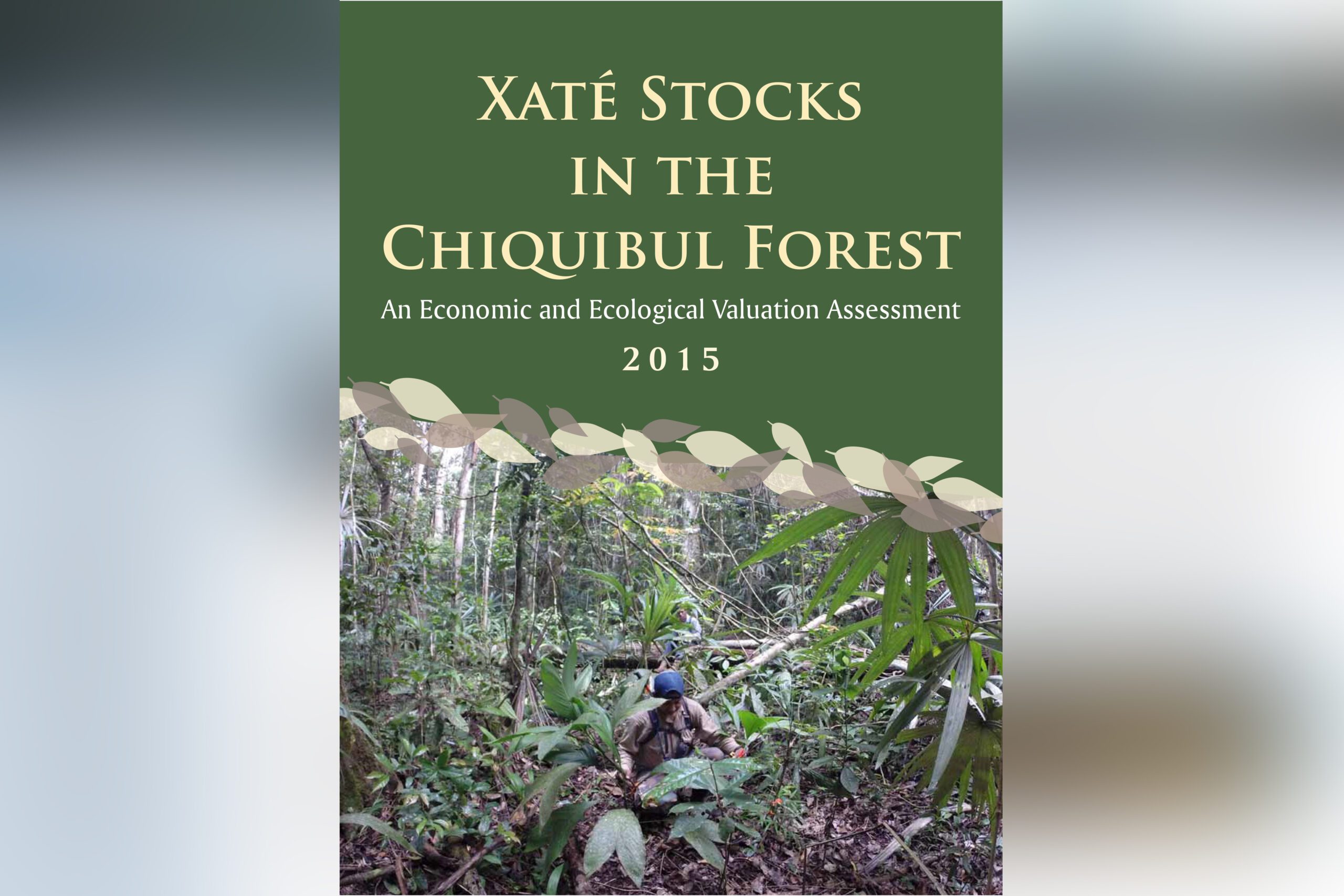 Xaté Stocksin theChiquibul Forest