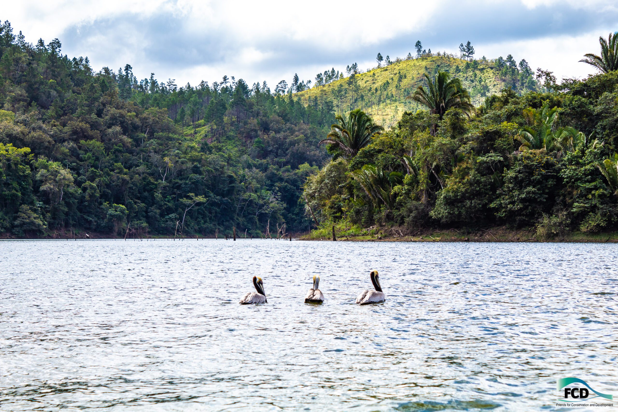 FCD Celebrates International Day for Biological Diversity.