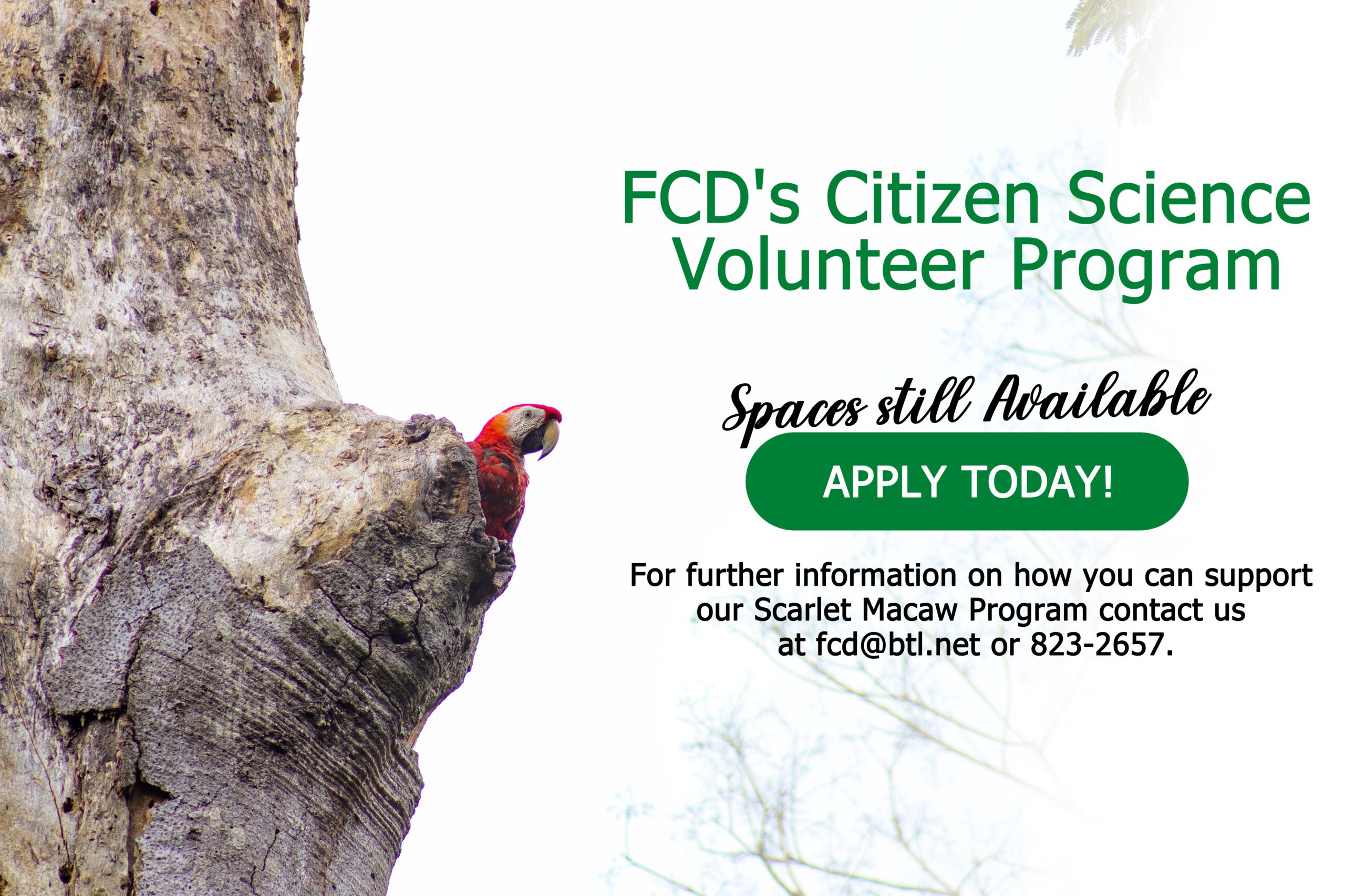 Join as a volunteer with FCD’s Citizen Science Program.