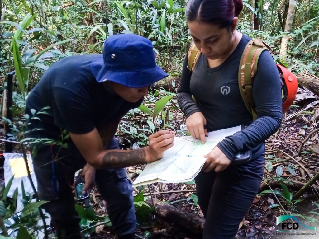 Methodologies tested to improve data collection for cultural inventory in the Chiquibul.