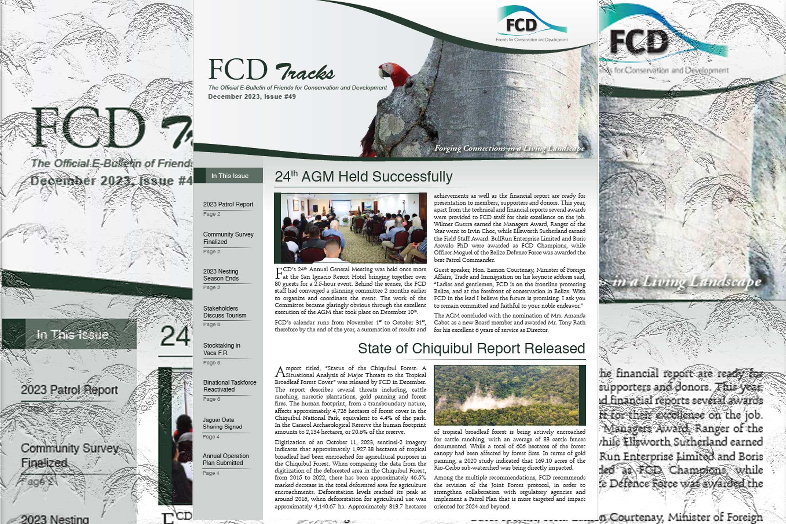 The latest edition of FCD’s Newsletter, Issue #49, has been released.
